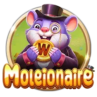 Card 137